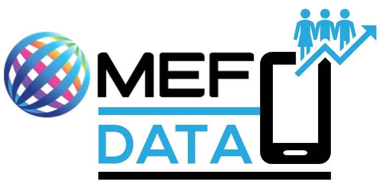 MEF DATA logo